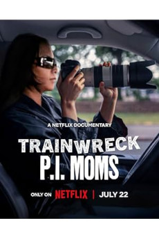 Felaketler Dizisi: Özel Dedektif Anneler