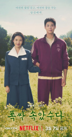 When Life Gives You Tangerines